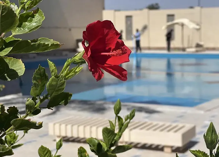 Luxury Modern Near Airport & Downtown Апартаменты *